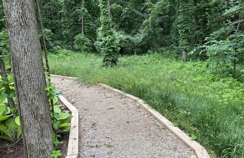 Ypsilanti House | Betty's Cabin in the Woods