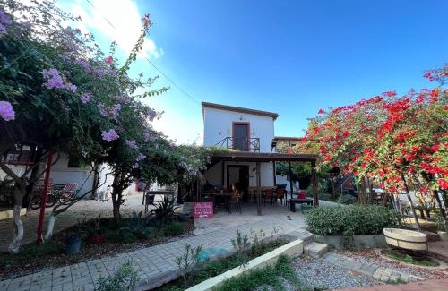 Bogaz House | Betul Guest House