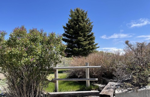 Cody House | Between Cody & Yellowstone Lodging & Fishing on The Shoshone River (Listing #2)