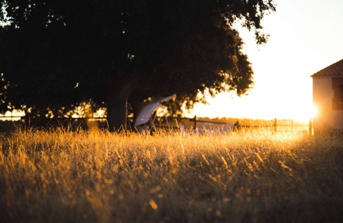 Cabanas de Sayago Cottage | Between oaks and open skies: rural house for 10 people 25 km from Zamora