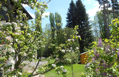 Rodern Apartment | Between vineyards and mountains, charming cottage *** Le Schaentzel