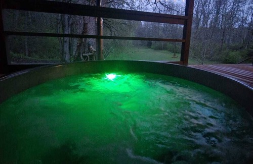 Skangali Villa | Beverina Secret -Valmiera riverside retreat - hidden gem with sauna and hot tub