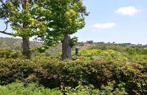 Beverly Glen House | Beverly Hills Mid Century Oasis with City Views and Pool!
