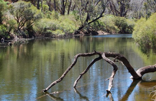 Nannup Cabin | Beyonderup Falls Adult Retreat