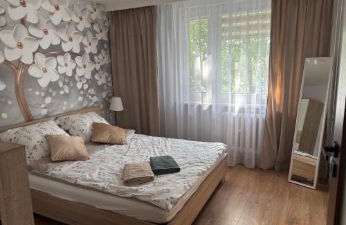 Biala Podlaska Apartment | Biała Centrum 2