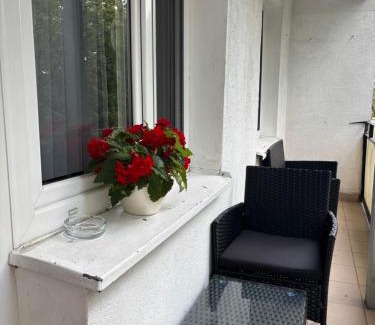 Biala Podlaska Apartment | Biała Centrum 2