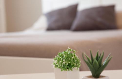 Rilievo Bed & Breakfast | Bianco Sale Trapani