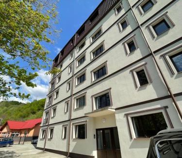 Nehoiu Apartment | Bibis Apartments