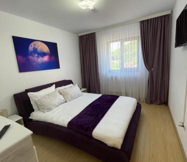 Nehoiu Apartment | Bibis Apartments