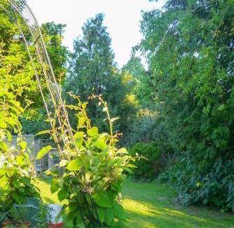 Diedorf Markt Apartment | Biburg86420