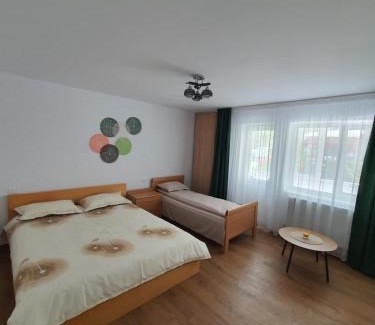 Bicaz Apartment | BicazApart
