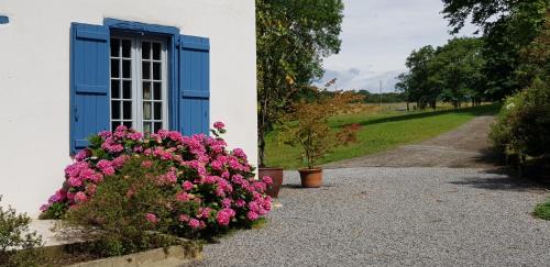 Saint-Pee-sur-Nivelle House | BIDACHUNA