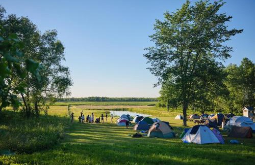 Goniadz Other | Biebrza CAMP - pole namiotowe