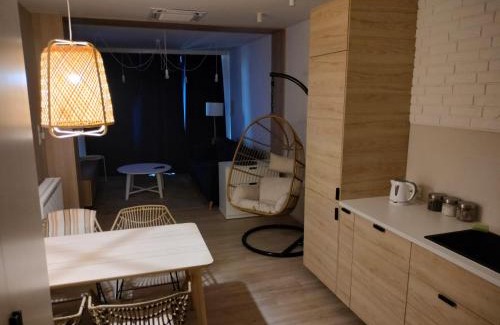Bielsko-Biala Apartment | Bielsko City Center Apartment