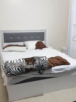 Hebron Apartment | Big Appatrment in Hebron Palestine Almahawer