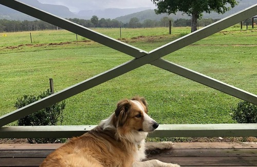 Kangaroo Valley Cabin | Big Bell Farm Cabin 1