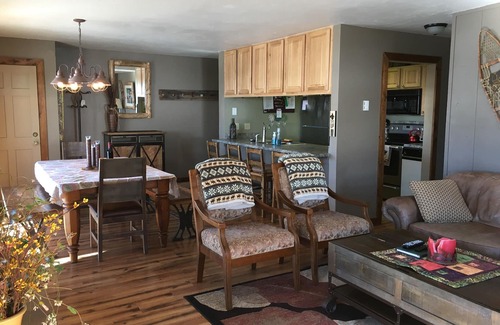Crested Butte Condo | Big Condo. Incredible Views. Great 'Vibe'