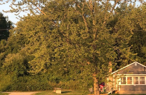 Lowell House | Big Crooked Lake Cottage