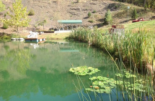 Cumberland RV Rental | BIG D's POND & North Branch of the Potomac river Camping.