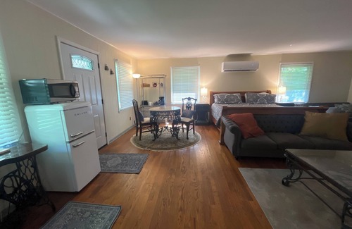 Damascus Apartment | Big Dam Room right off VA Creeper Trail Damascus