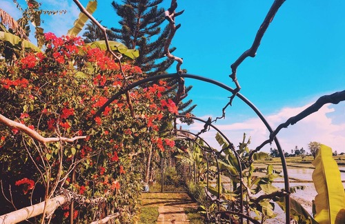 Singapadu Tengah House | BIG LOVE: Ubud's Unique Estate Destination: Peace, Rejuvenation & Inspiration