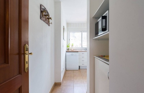 Playa de Mogan Apartment | Big & Quiet Appartment Close To The Beach with Elevator