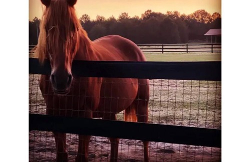 Aiken Other | Big Sky Ranch