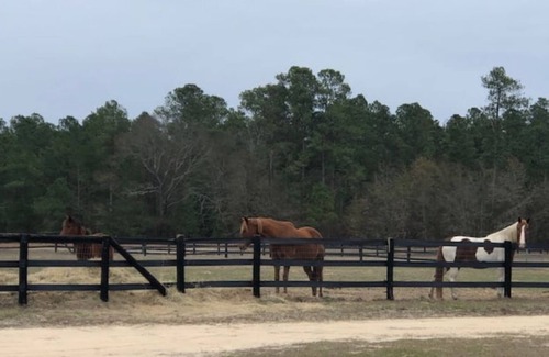 Aiken Other | Big Sky Ranch