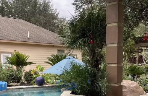 Iowa Colony Villa | Big Villa with swimming pool