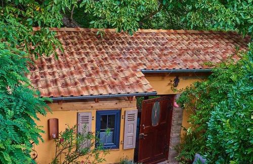 Flonheim Apartment | Biggi‘s Garten-Finca