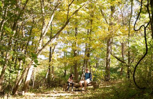 Athens House | Biker Hiker friendly 3 bedroom by Strouds Run State Park