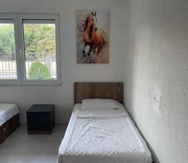 Gevgelija Apartment | Biljana Apartments