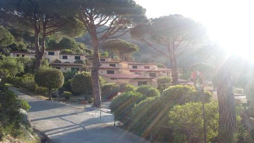 Cavoli Apartment | Bilo cavoli