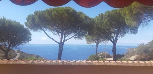 Cavoli Apartment | Bilo cavoli