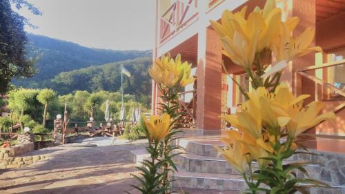 Sil Hotel | Bilovoddya Hotel