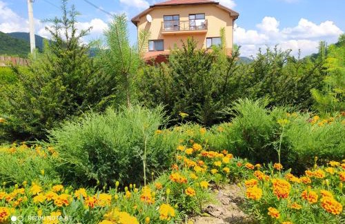 Sil Hotel | Bilovoddya Hotel