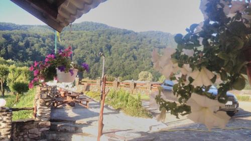 Sil Hotel | Bilovoddya Hotel