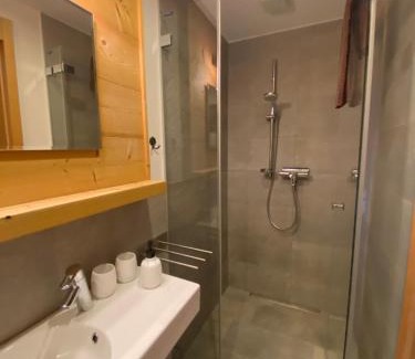 Bettmeralp Apartment | Bim See