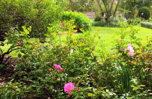 Kilmore Bed & Breakfast | Bindley House B&B Cottage