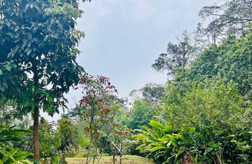 El Rosal Cabin | Bio-Hotel Bhakti,nCoffee rural cabin with view of the mountains and the forest