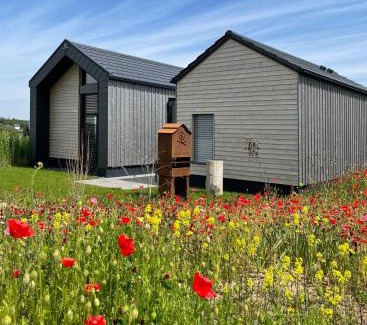 Zeulenroda-Triebes House | Bio-Seehotel Chalets