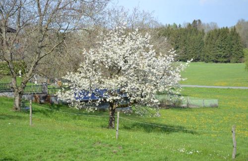 Aurach am Hongar Apartment | Biohof Auinger, der Tiererlebnishof