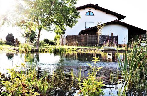 Hackenheim Hotel | BioWeingut & Landhotel Gänz