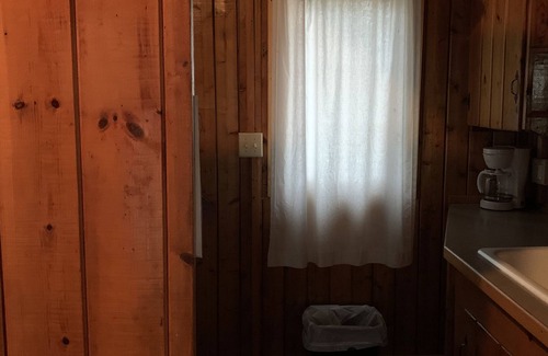 Tawas City Cottage | (Birch Cabin) Waterfront 2 Bed 1 Bath Cottage - Pets OK