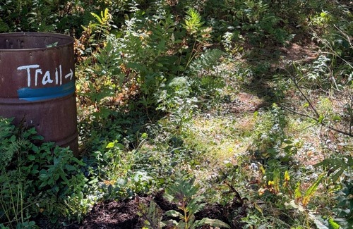 Maplecrest Cottage | Birchwood Cottage - Scenic Valley Getaway