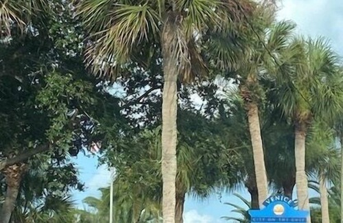 Venice Condo | Bird Bay of Venice, near beach, Beach Bungalow
