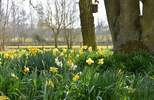 Martlesham Heath Cottage | Bird Cottage, Burgh