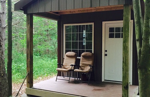 Prattsburgh Cabin | BIRD HOUSE - ROMANTIC - OFF GRID - WINE TRAIL CABIN - Pet Friendly! 4 Seasons