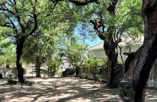 Pomerene House | Bird Lover's Paradise