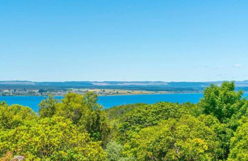 Acacia Bay House | Bird Songs and lake views with wifi
